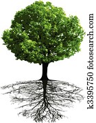 Tree Root Clipart EPS Images. 7,991 tree root clip art vector