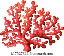 A coral reef A coral reef
