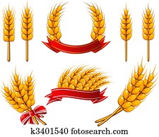 Collection of design elements. Wheat Collection of design elements. Wheat