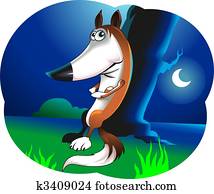 Fox Fox