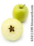 apples apples