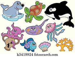 marine, fische, und, tiere, sammlung marine, fische, und, tiere, sammlung