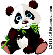 pandabaeren, essende, bambus pandabaeren, essende, bambus