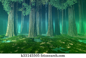 Huge trees green misty forest Huge trees green misty forest
