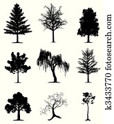 Trees collection Trees collection