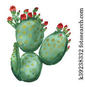 Blooming opuntia cactus Blooming opuntia cactus