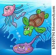 Various marine animals in sea Various marine animals in sea