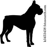 boxer boxer