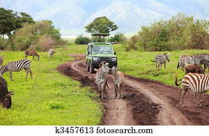 Game drive