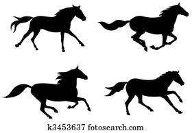Horses Horses