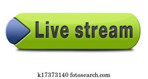 live stream live stream