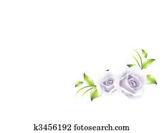 Rose Rose