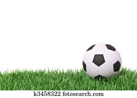 Soccer Soccer