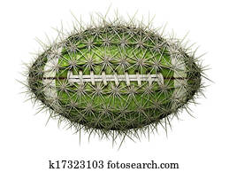 קקטוס, כדורגל