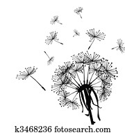 Black dandelion in the wind Black dandelion in the wind