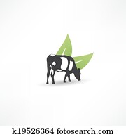 Cow Cow
