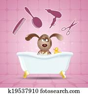 Grooming dogs Grooming dogs