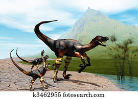 RAPTORS RAPTORS