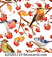 seamless, טקסטורה, עם, חמוד, צפרים, וואטארכולור