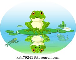 Frog Frog