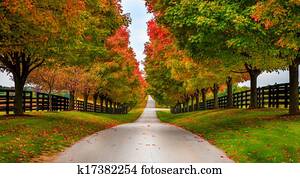 Horse farm alley Horse farm alley