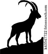 steinbock, bergen steinbock, bergen