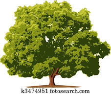 tree tree