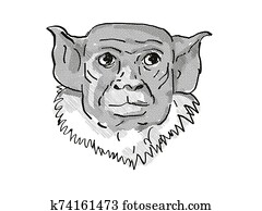 פיאד, טאמארין, סכן, חיות פרא, ציור היתולי, ראטרו, ציור