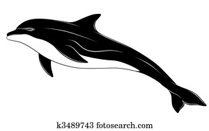 Dolphin, tattoo Dolphin, tattoo