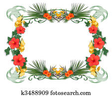 flores tropicales, frontera