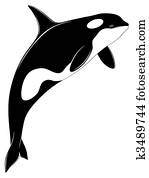 Killer whale, tattoo Killer whale, tattoo