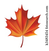 Maple Leaf Maple Leaf