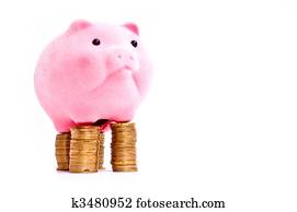 Pig on money