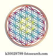the flower of life the flower of life