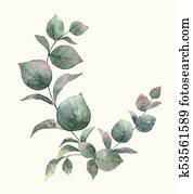 Watercolor vector bouquet with green eucalyptus leaves and branches. Watercolor vector bouquet with green eucalyptus leaves and branches.