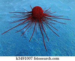 cancer cell cancer cell