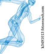 jogger - x-ray jogger - x-ray