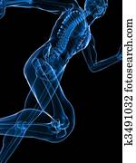 jogger - x-ray jogger - x-ray