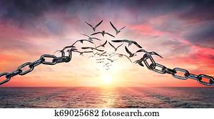 On The Wings Of Freedom - Birds Flying And Broken Chains - Charge Concept On The Wings Of Freedom - Birds Flying And Broken Chains - Charge Concept