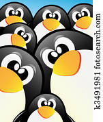 penguin penguin