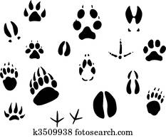 Animal footprints Animal footprints