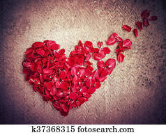 rose rose