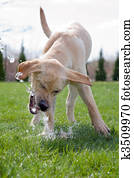 Thirsty Thirsty