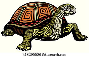 turtle turtle