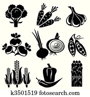 vegetables vegetables