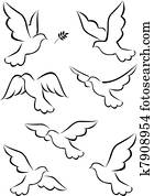 Dove Dove