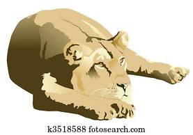 Lioness