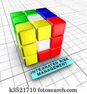 1-Integrated risk management (1/6)