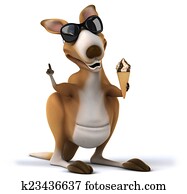 Fun kangaroo Fun kangaroo