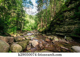 green moss on rocks near a stream